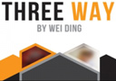 Flash Offer  : Three Way by Wei Ding & system 6 - DVD