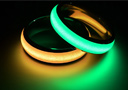 Stainless Steel Luminous Rings (Size 9)