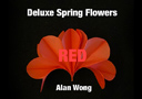 Vuelta magia  : Deluxe Spring Flowers RED