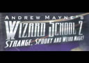 article de magie DVD Wizard school (Vol.2)