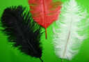 Ostrich Feathers For Appearing Cane and Vanish Can