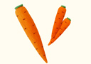 Multiplicación de Zanahorias de esponja