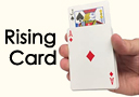 Flash Offer  : Rising card
