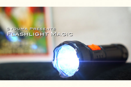 Magic Flashlight (2pk)