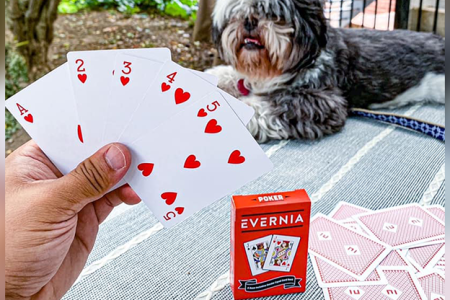 vernia Playing Cards