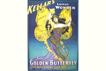 Affiche  Golden butterfly 