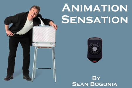 The Animation Sensation - sean bogunia