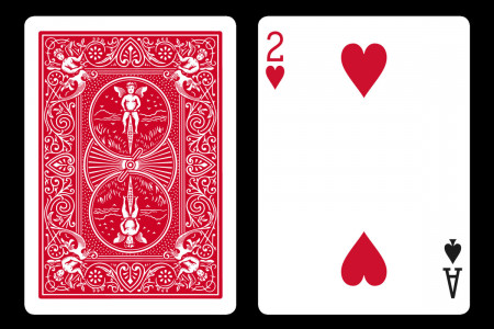 Double Index BICYLCE Card - 2 of Hearts/Ace of Spades