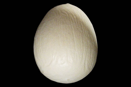Huevo de Esponja - albert goshman