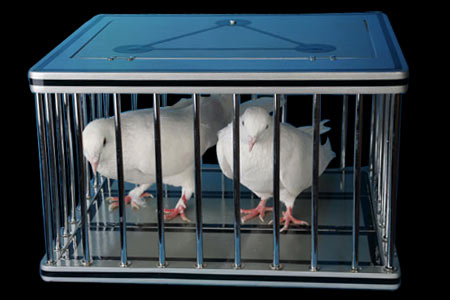 Silver Dove Cage (new)