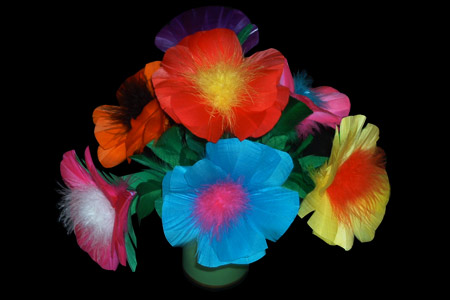 Bouquet 7 fleurs - tora-magic
