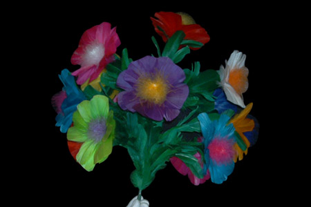 Bouquet 13 fleurs - tora-magic