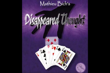 Disappeared Thought - mathieu bich