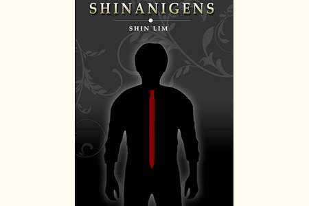 Shinanigens - shin lim