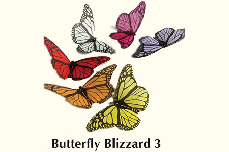 Butterfly blizzard : Recharges - jeff mc-bride