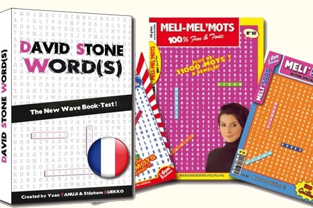 Word(s) French Version - david stone