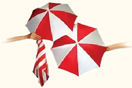 Blendo Bicolore et apparition de deux parapluies - tora-magic
