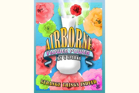 Airborne Vase