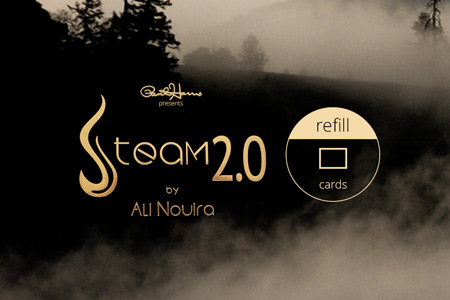 Recharges cartes de visite : Steam 2.0 (par 50) - ali nouira