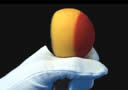 Bola de Esponja de Colores (Blendo)