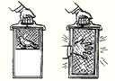 bengal-net