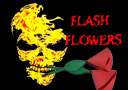 tour de magie : Fleurs Flash (Boite de 8)
