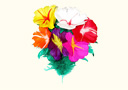 Ramo de 6 flores