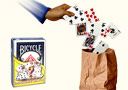Les cartes au sac (version signées)
