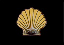 Golden shell (Concha dorada)