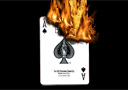 Flash Cards Deluxe As de pique (par 20)