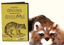 Reality Raccoon