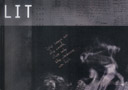 DVD LIT (Dan Hauss et Dan White)