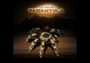 Lot Tarantula