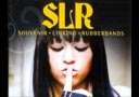 DVD SLR Slims (Souvenir Linking Rubberbands)