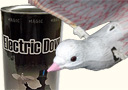 Electric Dove