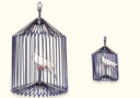 article de magie Appearing bird cage giant