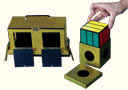 Back de Tora cubo