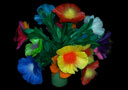 Bouquet 16 fleurs