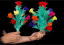 Bouquet qui se dédouble