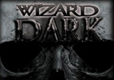 tour de magie : Wizard Dark Pk Ring + DVD - Curved Band (17mm)