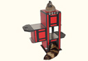 tour de magie : Zig-Zag Raccoon
