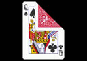 carte-bicycle-double-index-dame-noire