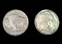 Moneda jumbo - 5 cts $ (Nuevos motivos)
