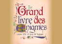 Le Grand Livre des Enigmes