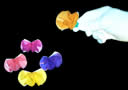 production-de-fleurs-vernet