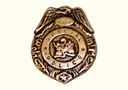 Petite étoile de policier