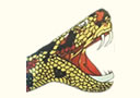 Oeufs de serpent à sonnette