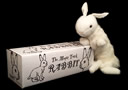 Rabbit le raccoon