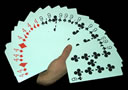 Jeu Jumbo Bicycle à Forcer 2 Cartes