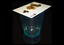 Dos monedas a trav�s de la carta 50 cts �